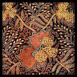 Meet your Posher, Eva